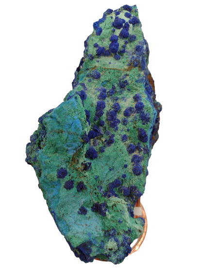 Azurite with Chrysocolla Specimen (Free Shipping)