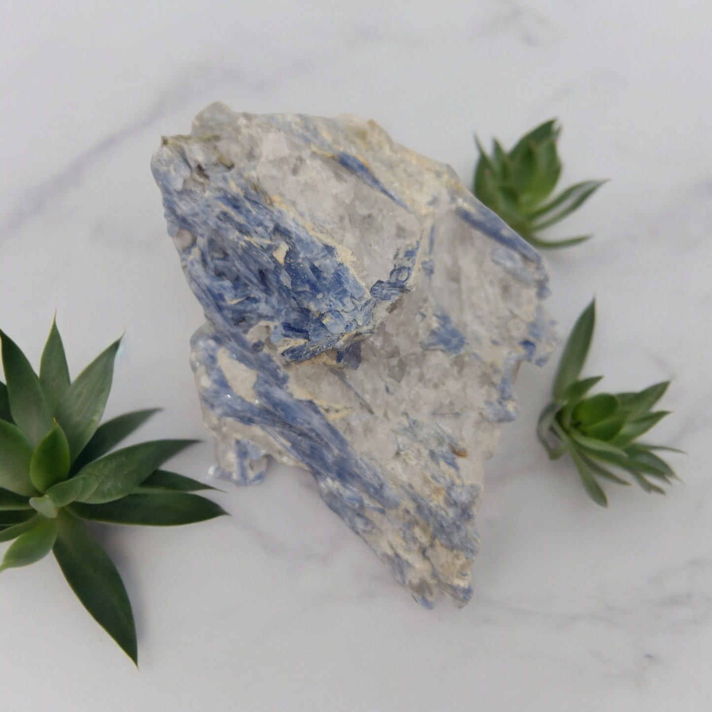 Blue Kyanite Specimen N11 (Free Shipping )