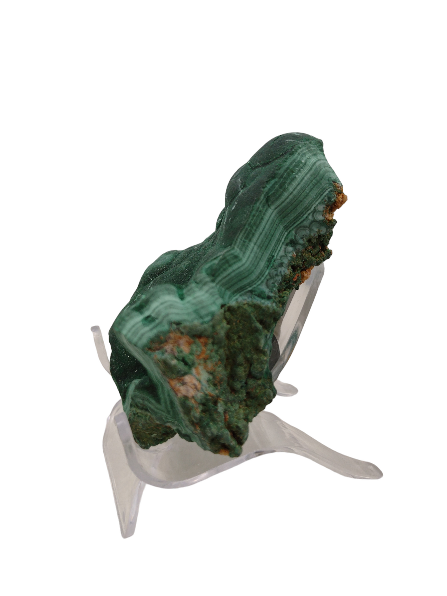 Velvet Malachite Natural Specimen N46 ( Free Shipping )