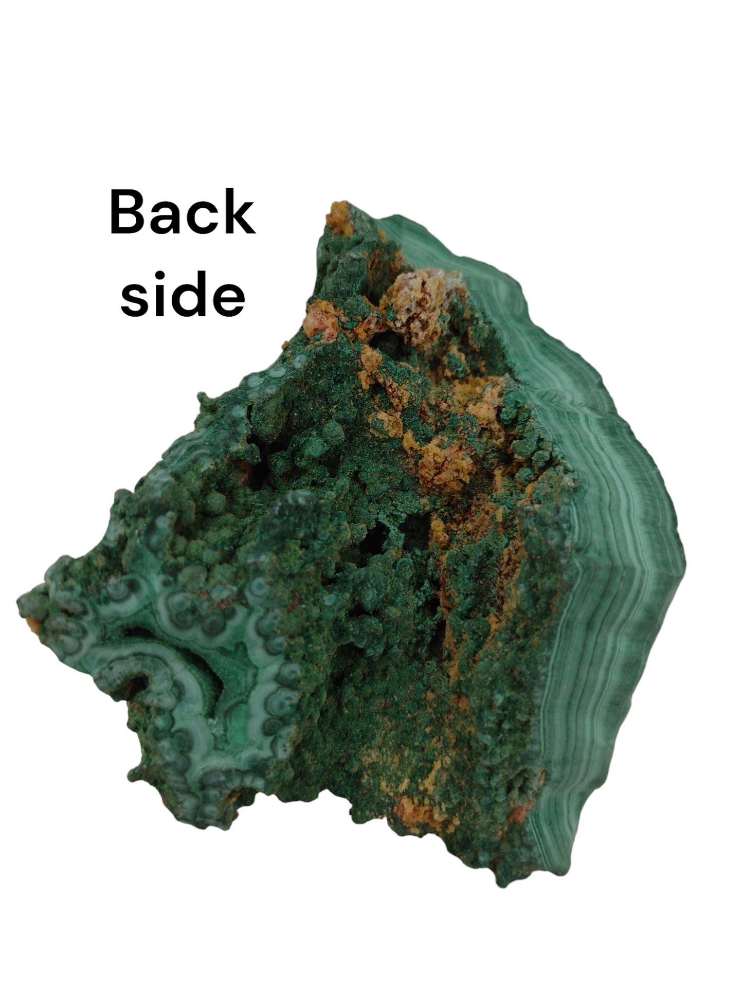 Velvet Malachite Natural Specimen N46 ( Free Shipping )