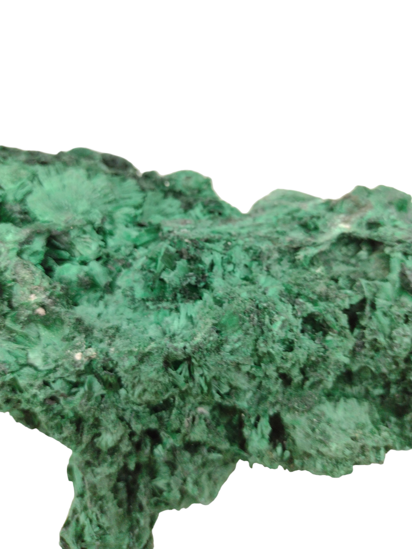 Natural Malachite Specimen N47 ( Free Shipping )