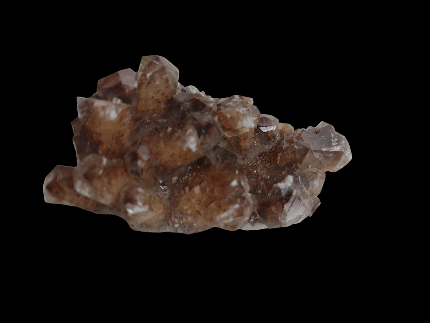 Chocolate Calcite Specimen N64 . ( Free Shipping )