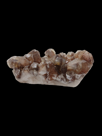Chocolate Calcite Specimen N64 . ( Free Shipping )