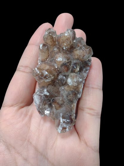 Chocolate Calcite Specimen N64 . ( Free Shipping )