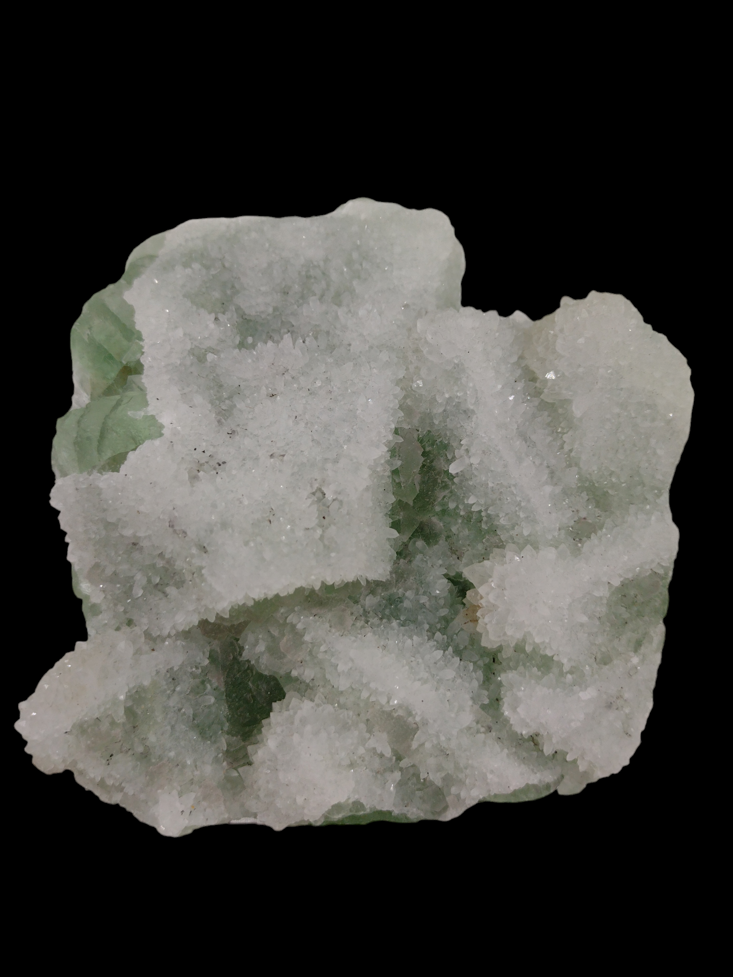 Green Sugar Coated Specimen N68 . ( Free Shipping )