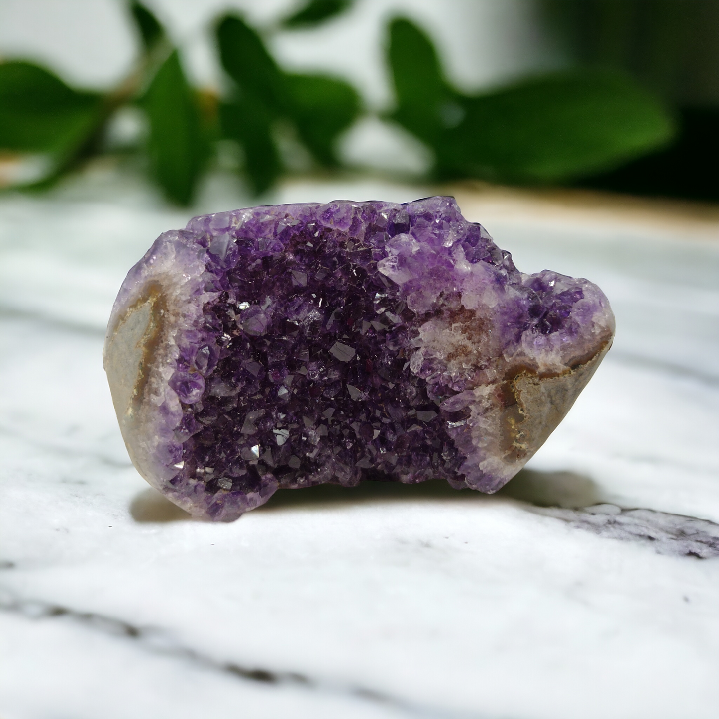 Amethyst Cluster with Green Agate Flower Uruguay (High Grade Specimen) N92 (Free Shipping )