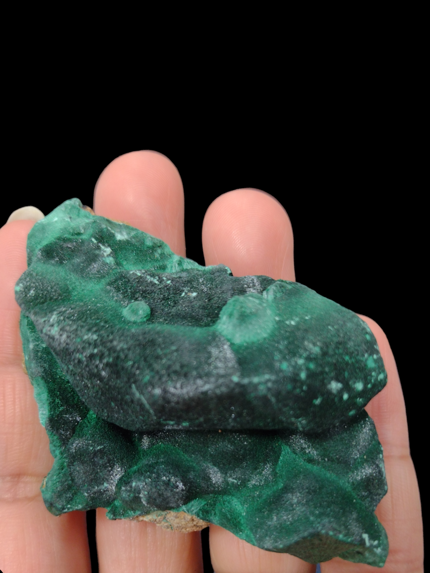 Velvet Malachite Natural Specimen N197 ( Free Shipping )