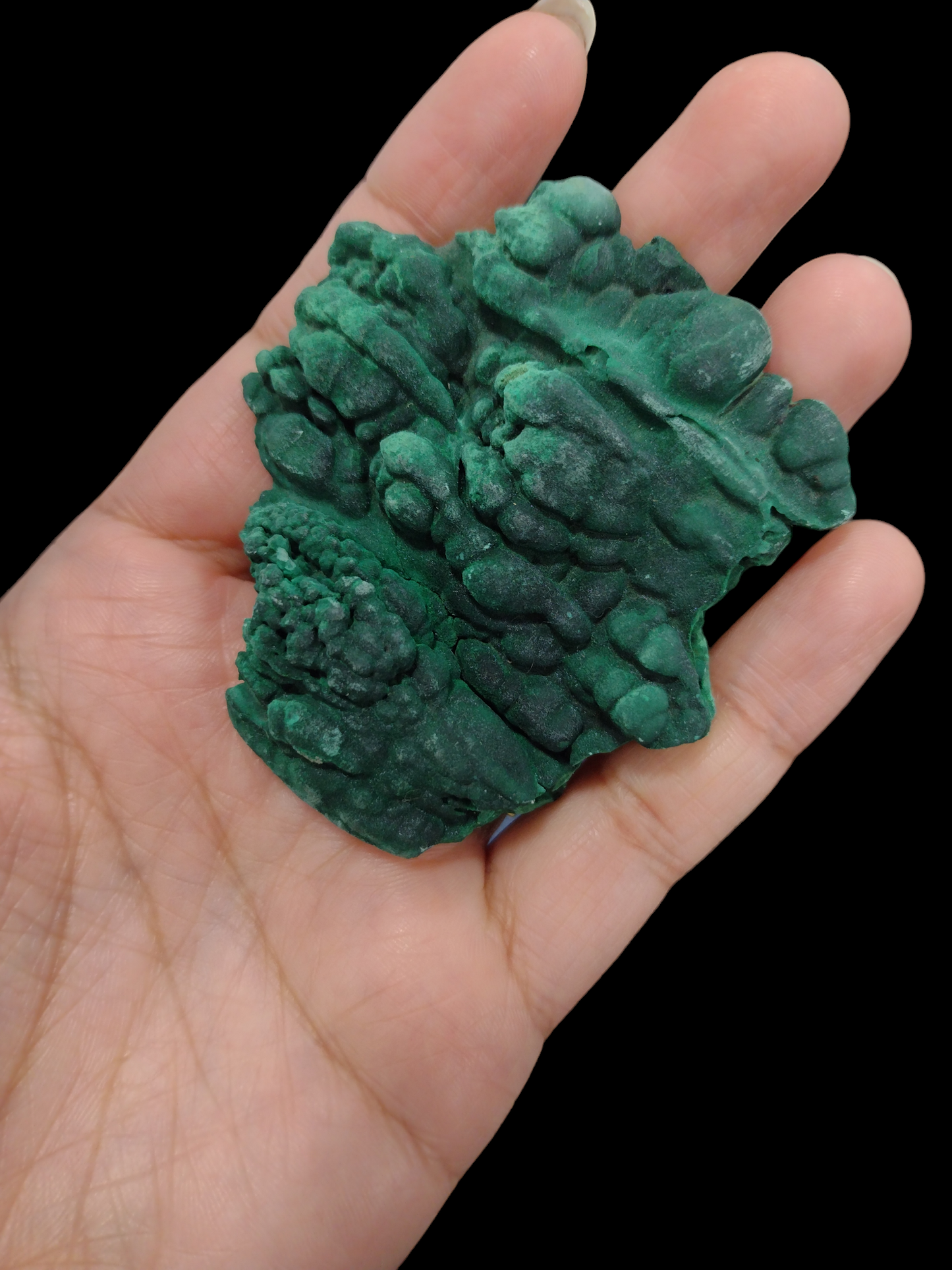 Velvet Malachite Natural Specimen N199 ( Free Shipping )