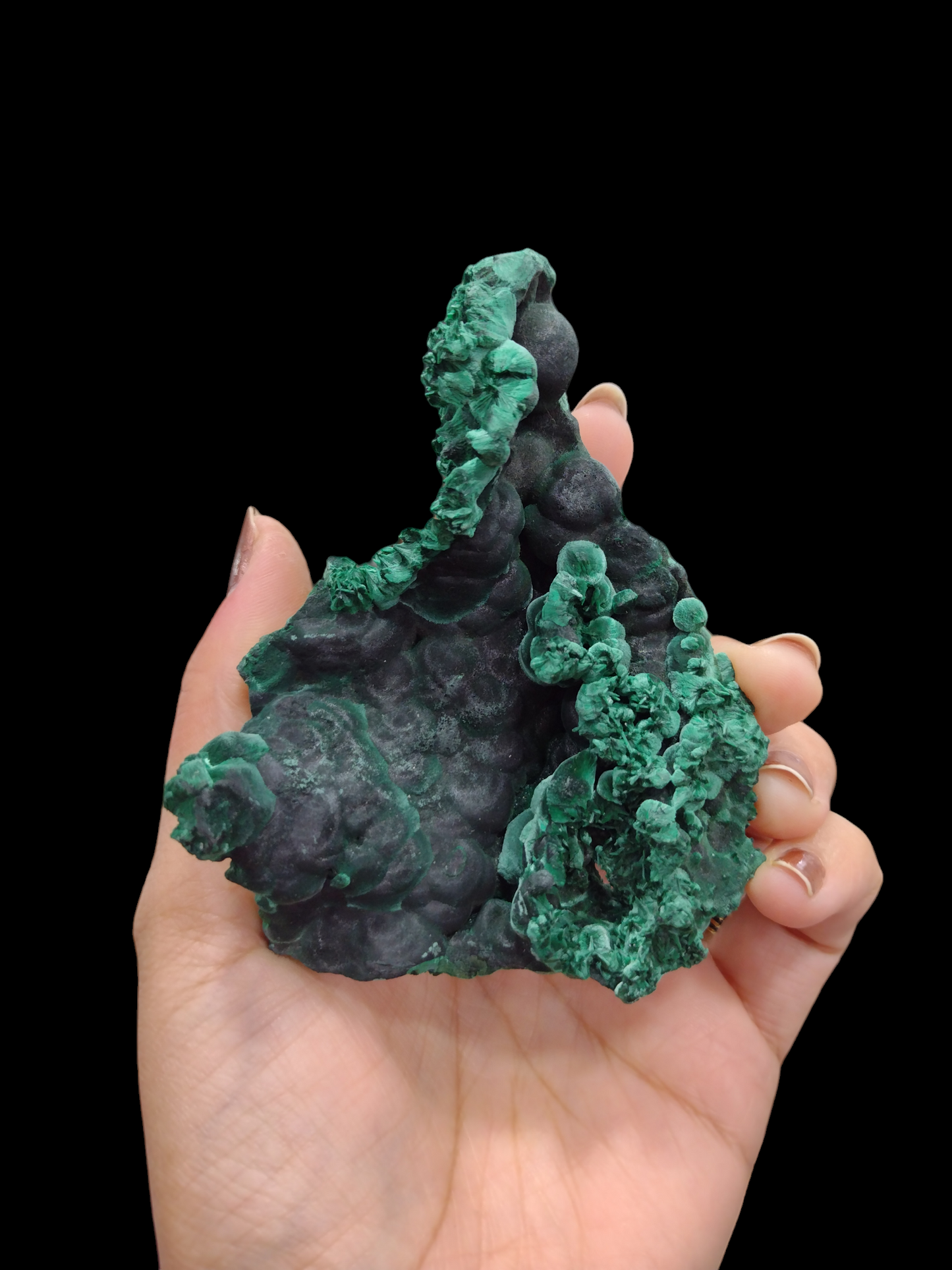 Velvet Sugar Coated Malachite Specimen N202 ( Free Shipping )