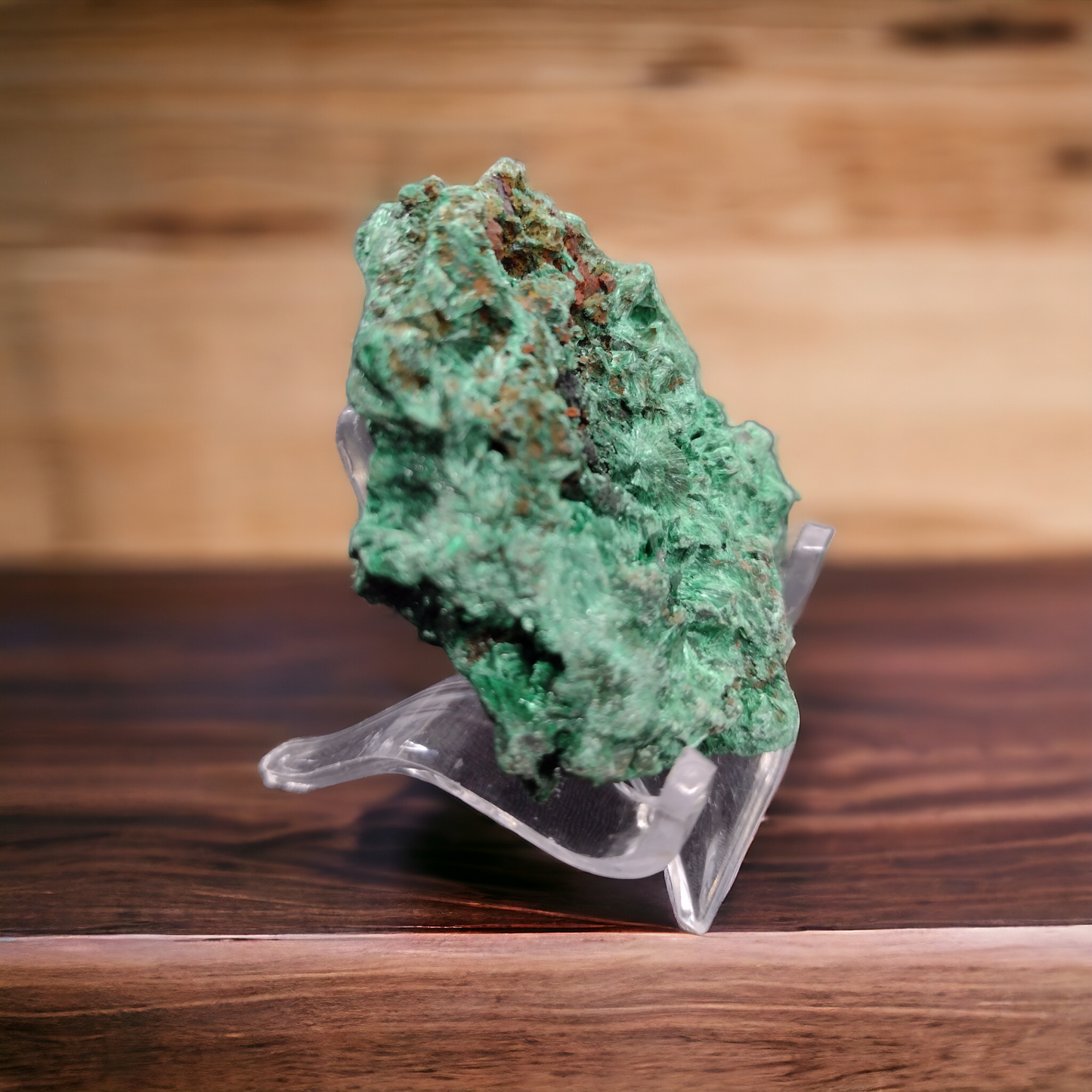 Velvet Malachite Natural Specimen N204 ( Free Shipping )