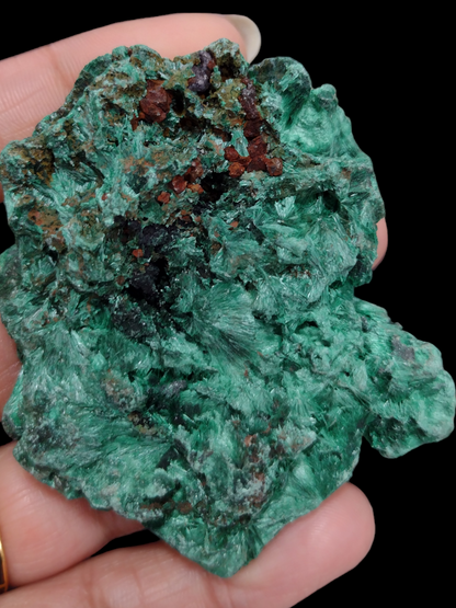 Velvet Malachite Natural Specimen N204 ( Free Shipping )