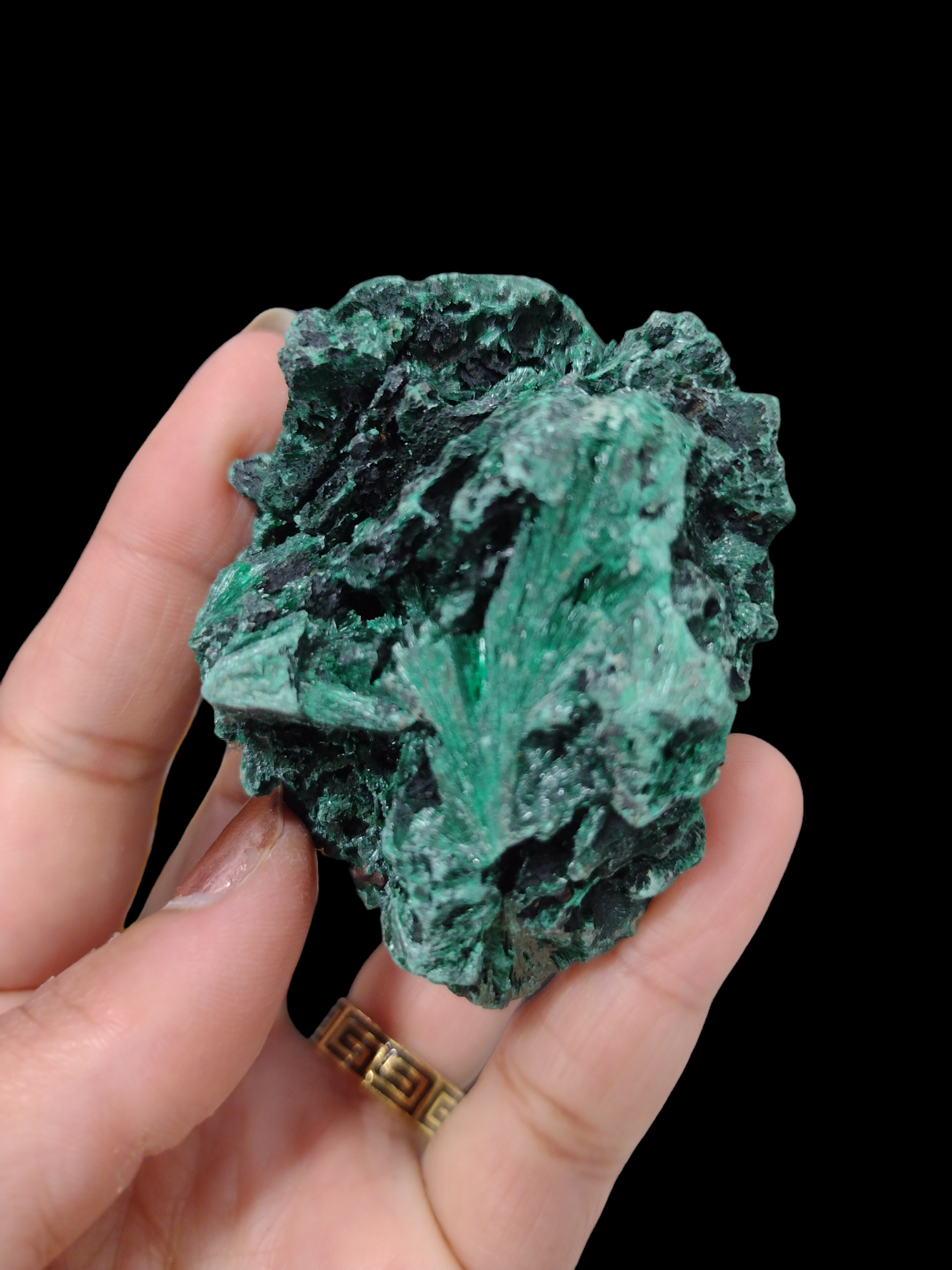 Velvet Malachite Natural Specimen N209 ( Free Shipping )