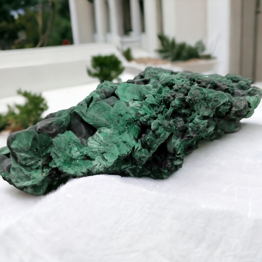 Velvet Malachite