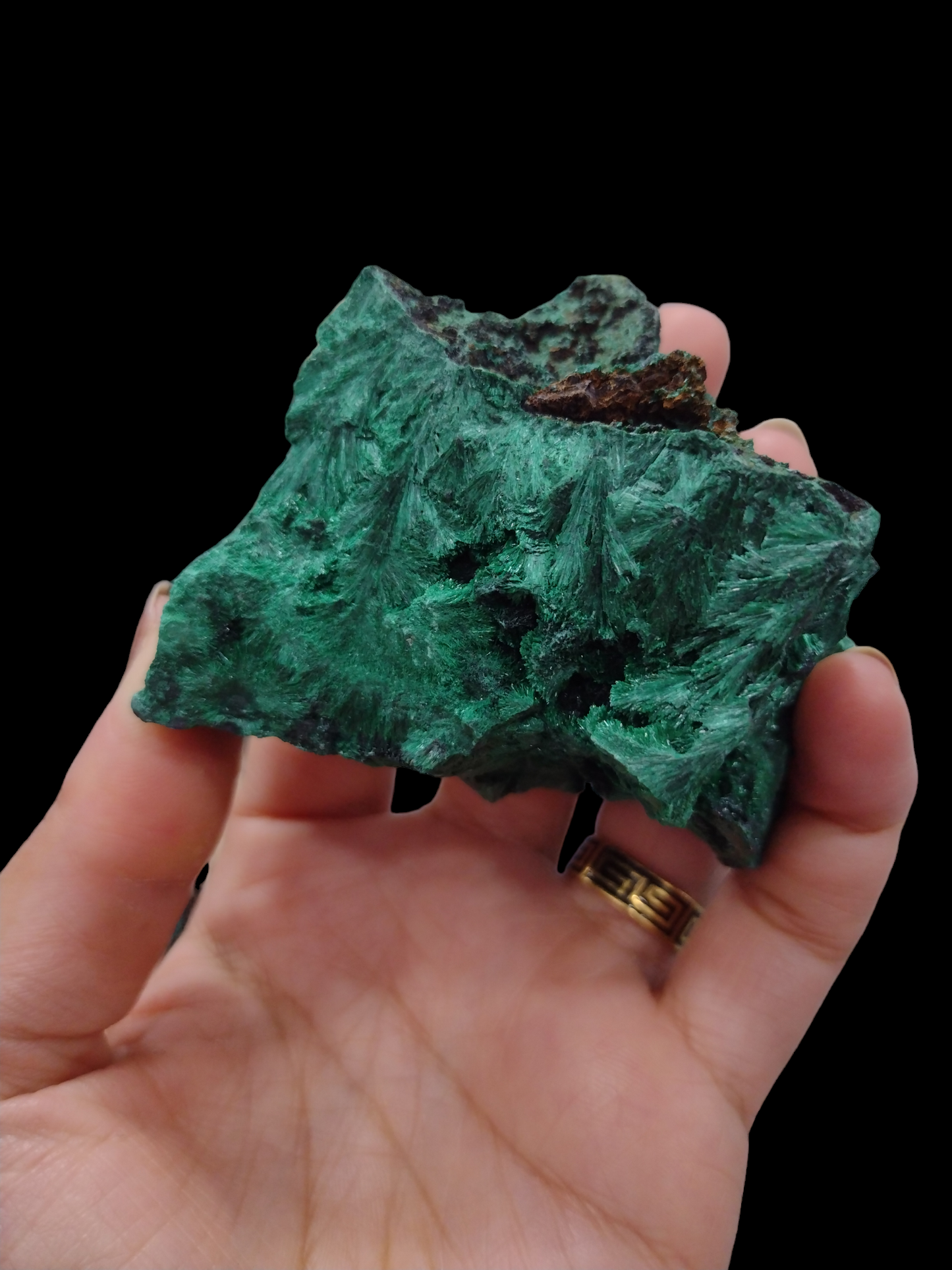 Velvet Malachite Natural Specimen N214 ( Free Shipping )