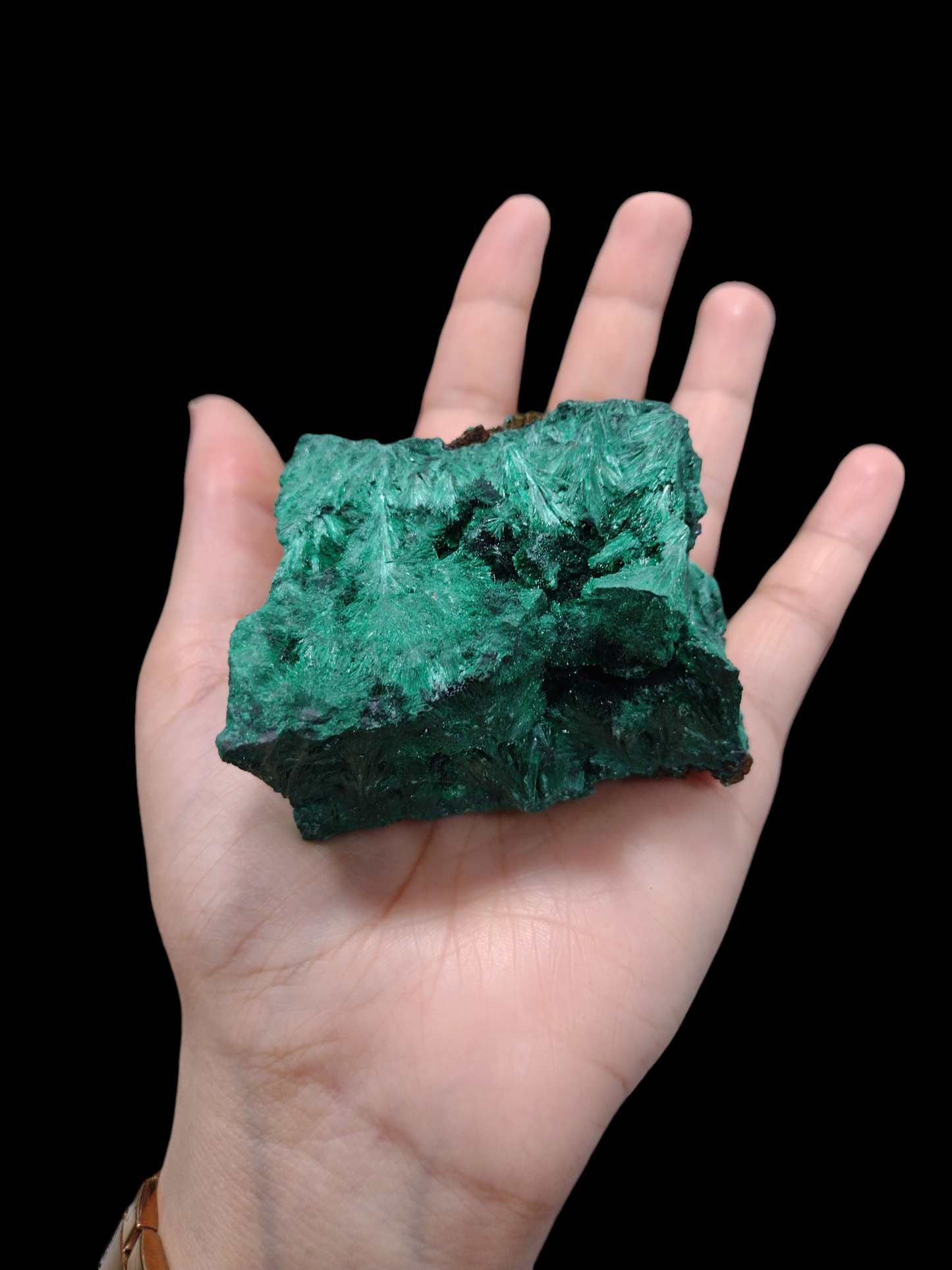 Velvet Malachite Natural Specimen N214 ( Free Shipping )