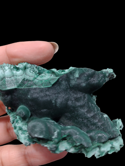 Velvet Malachite Natural Specimen N217 ( Free Shipping )