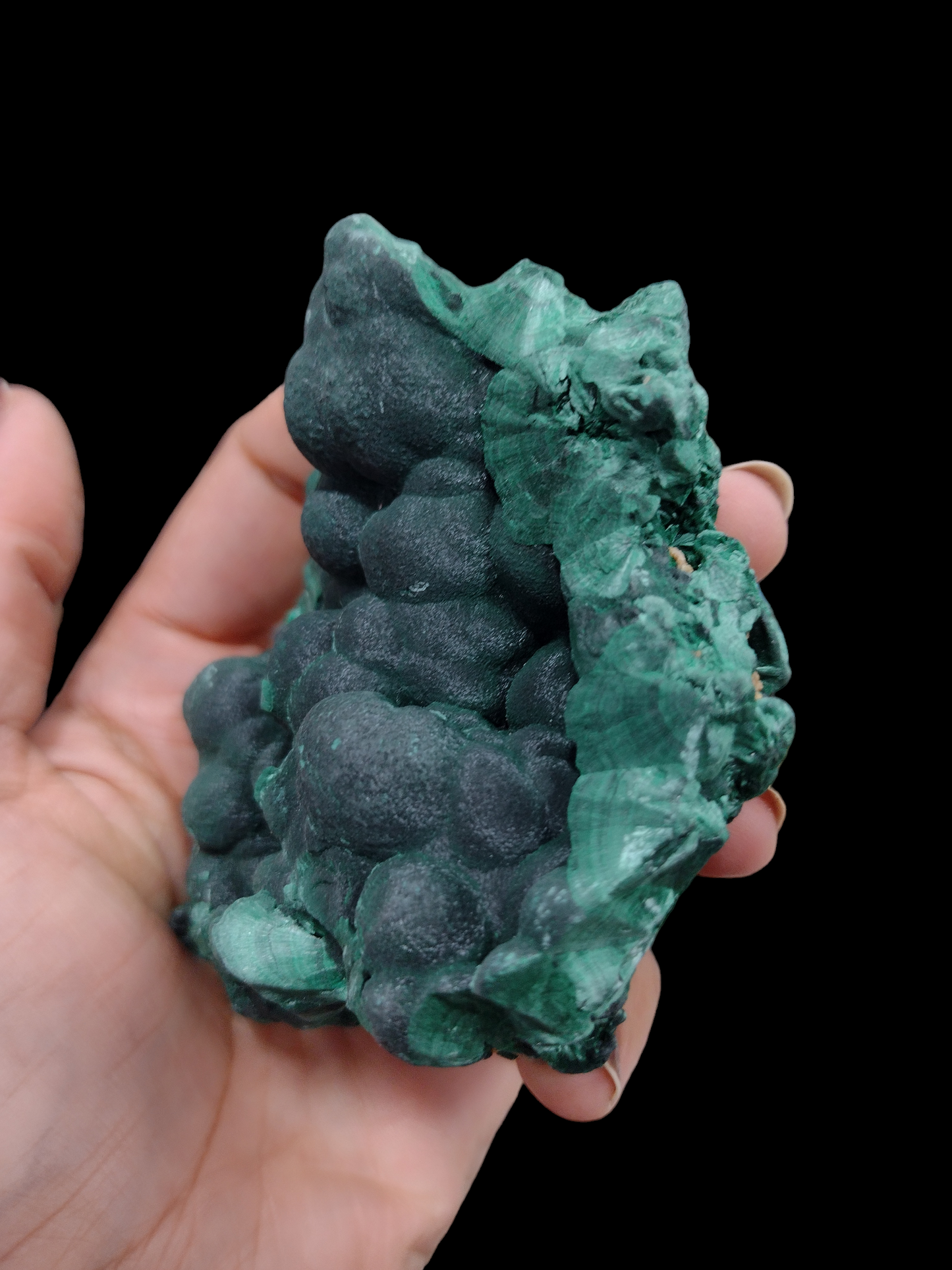 Velvet Malachite Natural Specimen N219 ( Free Shipping )