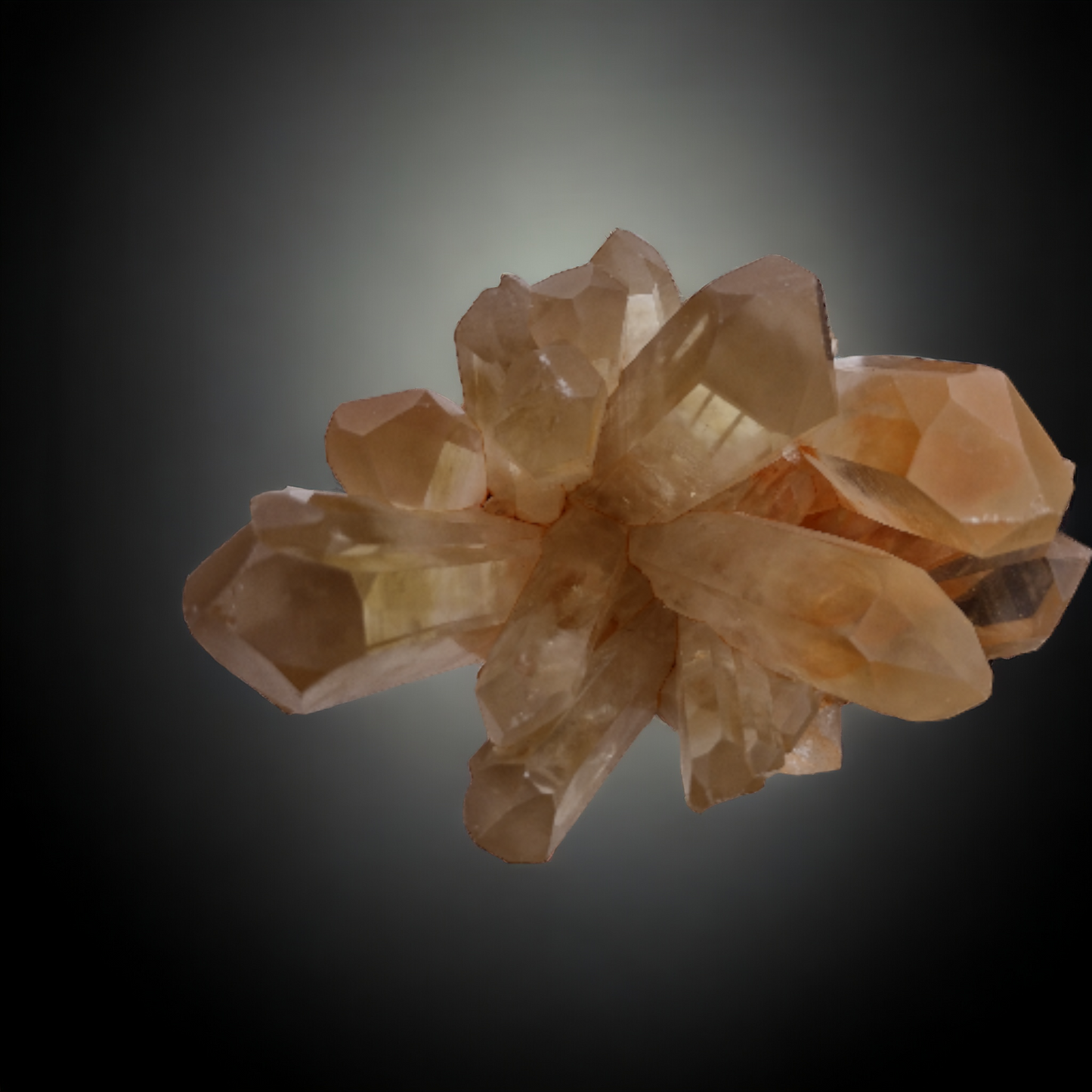 Natural Citrine Cluster N279