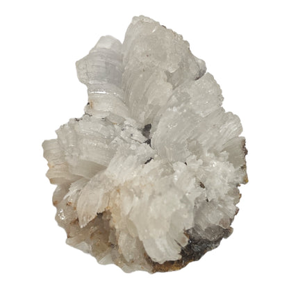 Selenite Gypsum N286 ( Free Shipping )