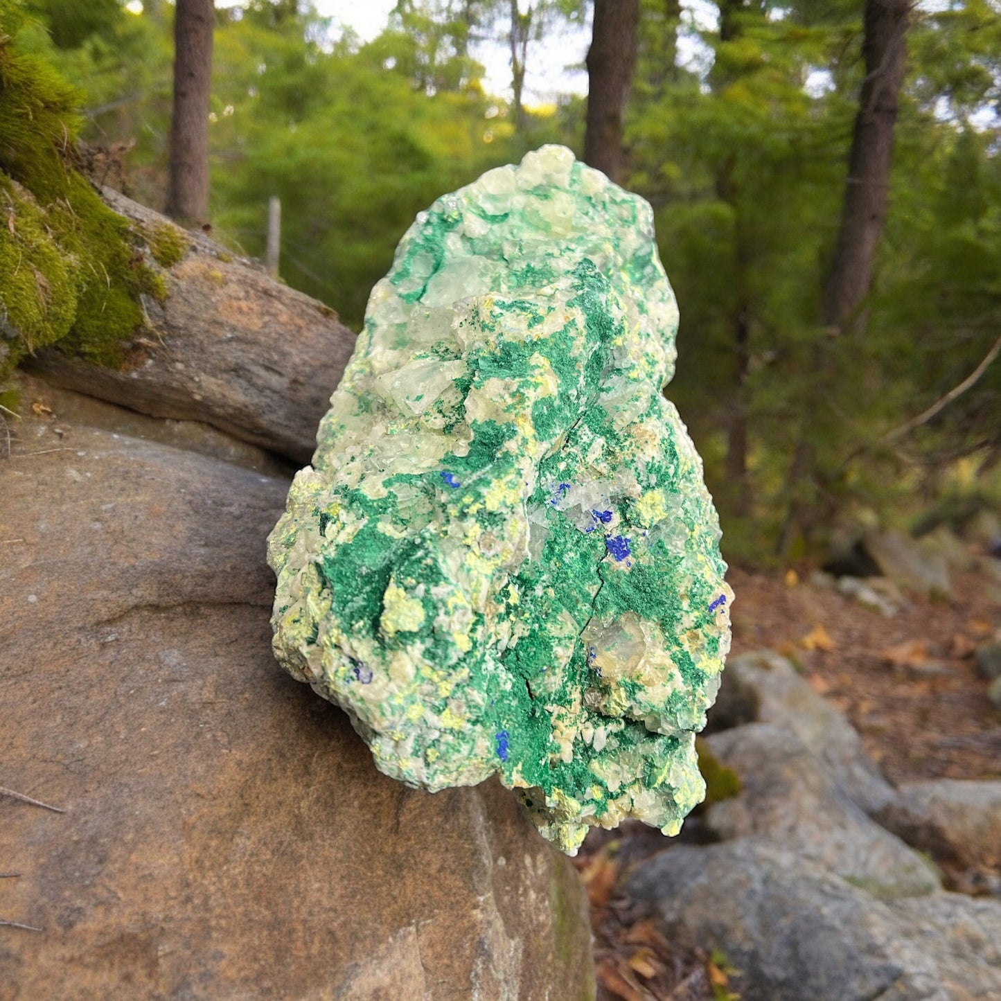 Azurite and Malachite Specimen N313 |third eye activation | self awareness | boost self confidence (Free Shipping )