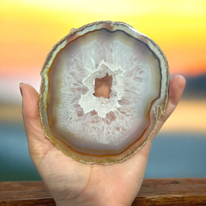 Agate Slice (Brazil) N320 (Free Shipping )