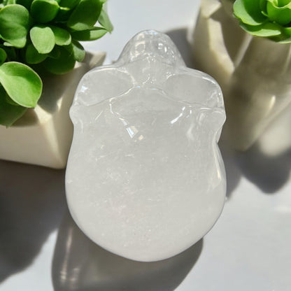 Clear Quartz Skull 4.5 inch N328 ( Free Shipping )