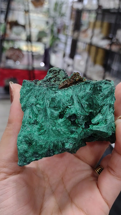 Velvet Malachite Natural Specimen N214 ( Free Shipping )