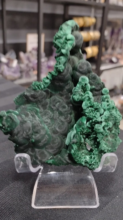 Velvet Sugar Coated Malachite Specimen N202 ( Free Shipping )