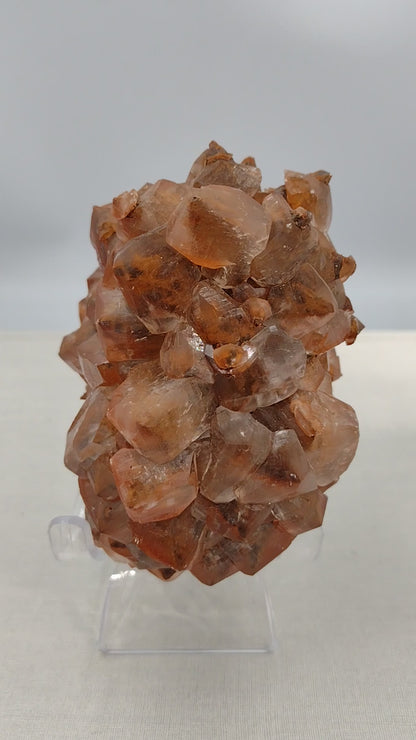 Chocolate calcite specimen N57 ( Free Shipping )