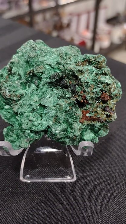 Velvet Malachite Natural Specimen N204 ( Free Shipping )