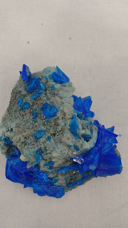 Natural Vanadyle Blue Sulphur with pyrite specimen N61 . ( Free Shipping )